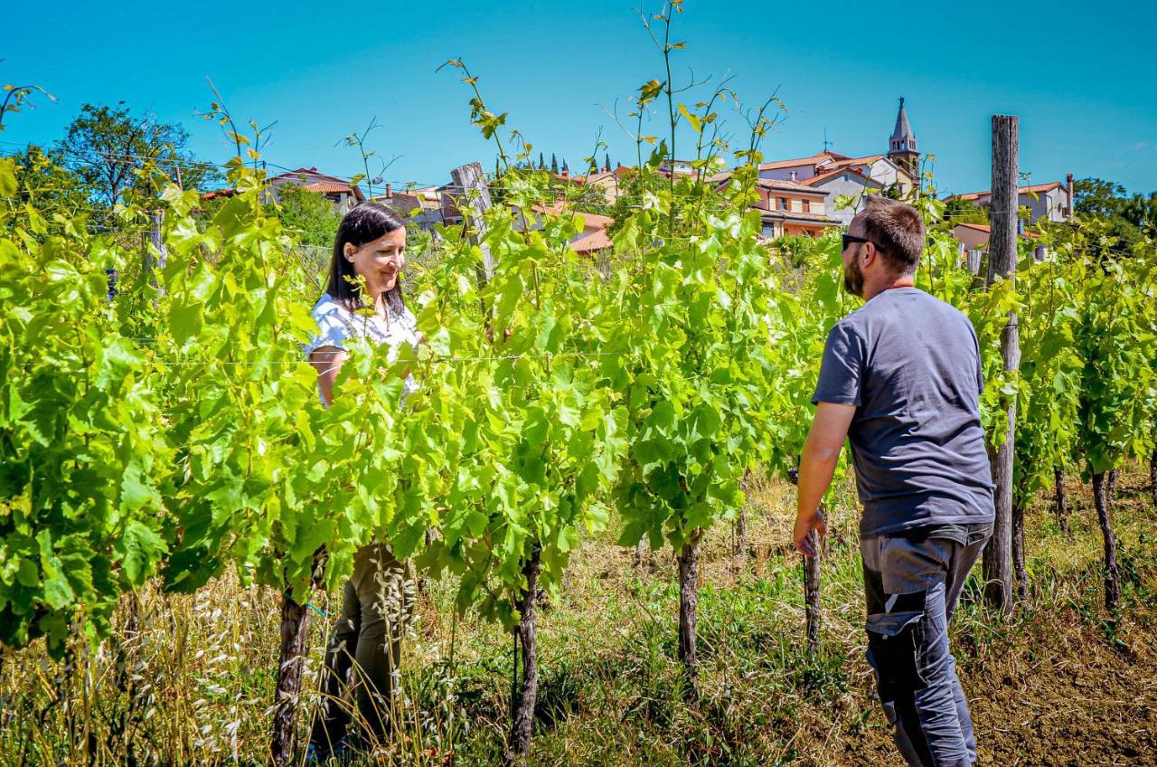 Wine & Apartment Vinales โคเปร์ ภายนอก รูปภาพ